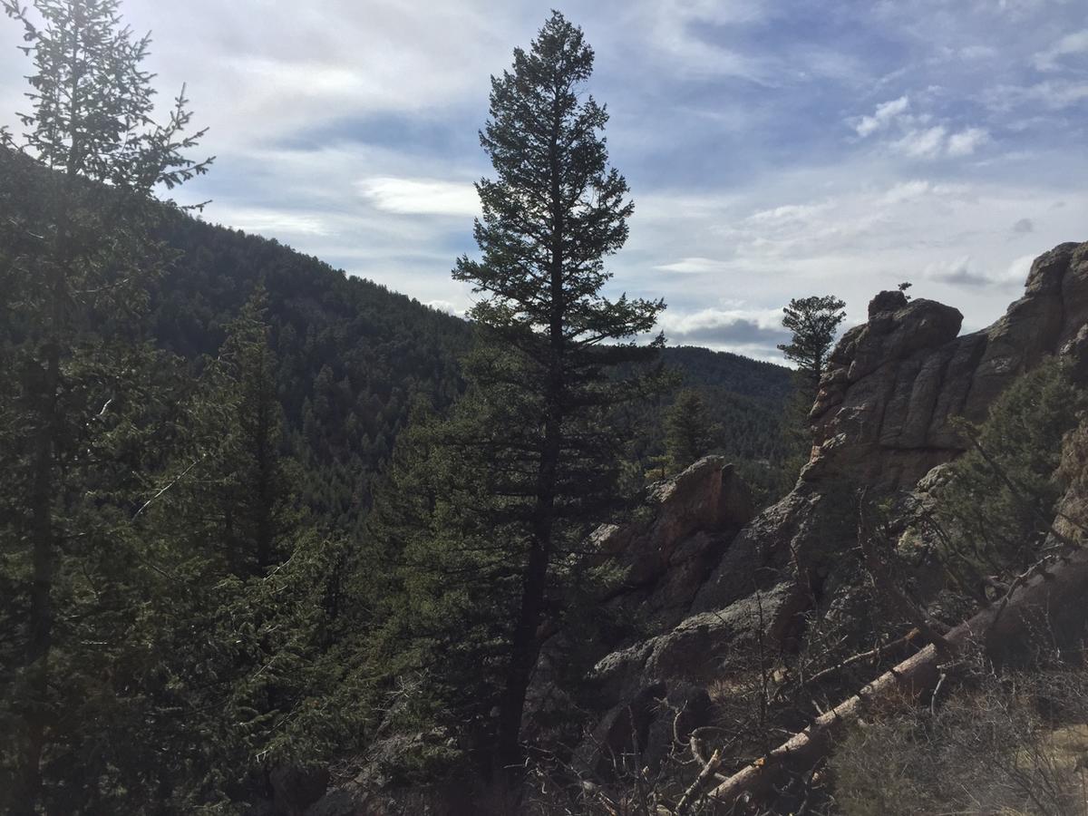 Kokopelli Inn Estes Park Buitenkant foto